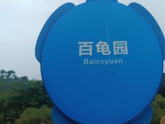-广东惠东海龟国家级自然保护区