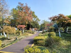 -玄武湖景区-情侣园游乐场