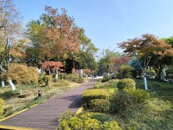-玄武湖景区-情侣园游乐场