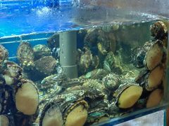 -鑫正兴东北烧烤(滨湖店)