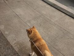 -法桐蛋糕·手作面包(万象城店)