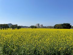 -光明小镇欢乐田园