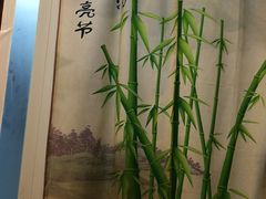 -九斤黄三黄鸡专卖店