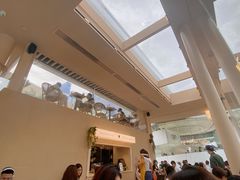 -BeauTea水仙(coco park店)