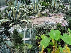 -昆明植物园
