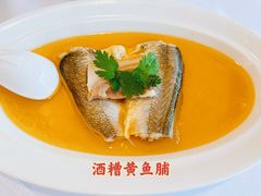 -圆苑(兴国路店)