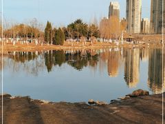 -前关湿地公园
