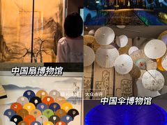 -杭州奥体中心-体育场