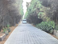 -秦始皇帝陵博物院-丽山园