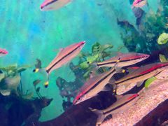 -常州海昌海洋探索馆