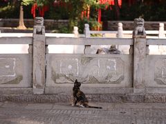 -宝通禅寺
