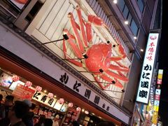 -蟹道乐(道顿堀本店)