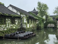 -鲁镇