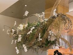 -月龍吟(朝龙汇店)