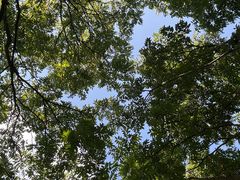 -花溪公园