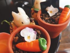 -The Lounge大堂酒廊·咖啡·沙拉·下午茶(金茂深圳JW万豪酒店)