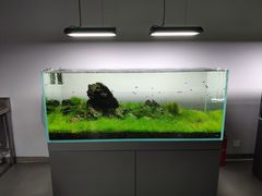 -ADA自然水景世界