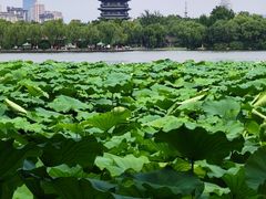 -环城公园