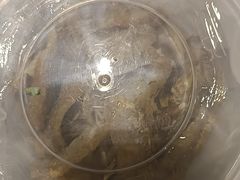 -小城粥道·海胆鲜虾粥(解放广场店)