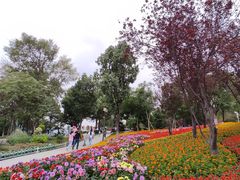 -铁山坪森林公园