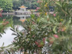 -星湖愉景酒家