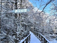 -龙苍沟森林公园
