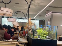 -绿茶餐厅(青岛城阳万象汇店)