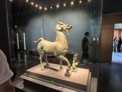 -广西壮族自治区博物馆