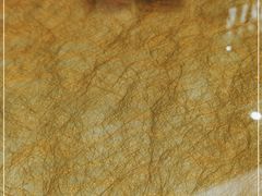 -有心德(麦地店)