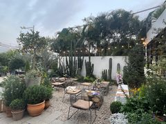 -自由生长植物工作室(深港花卉中心店)