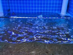 -面道赞宁海海鲜面(迎凤街店)