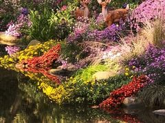 -共青国家森林公园-售票处