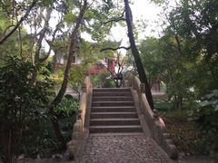 -汇龙潭