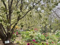 -江南大学(蠡湖校区)