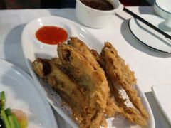 -云中小雅