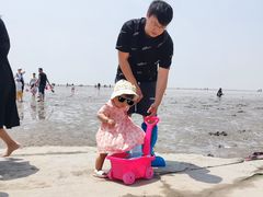 -奉贤海滩