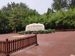-莲花池公园
