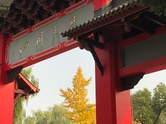 -四川大学(望江校区)