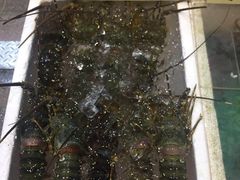 -蚝得喜海鲜(东城店)