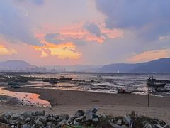 -北岐滩涂