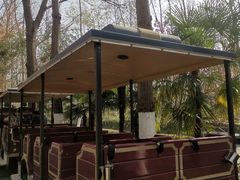 -合肥滨湖国家森林公园