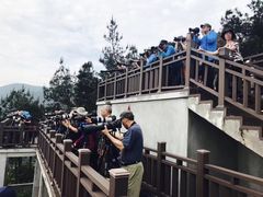 -北岐滩涂