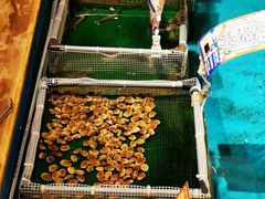-ジャンボ釣船 つり吉(新世界店)