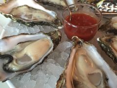 -Oyster Talks 四度蚝法餐厅