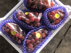 -东方鼎信农副产品交易中心