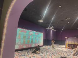 -meland亲子乐园•派对•研学(宁波华润万象城店)