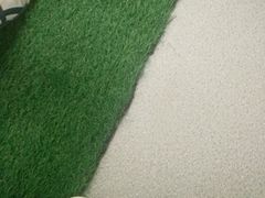 -企鹅岛