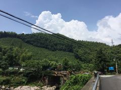-宁波浙东大竹海景区