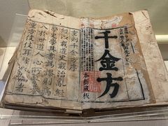 -广东中医药博物馆