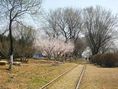 -永定河休闲森林公园